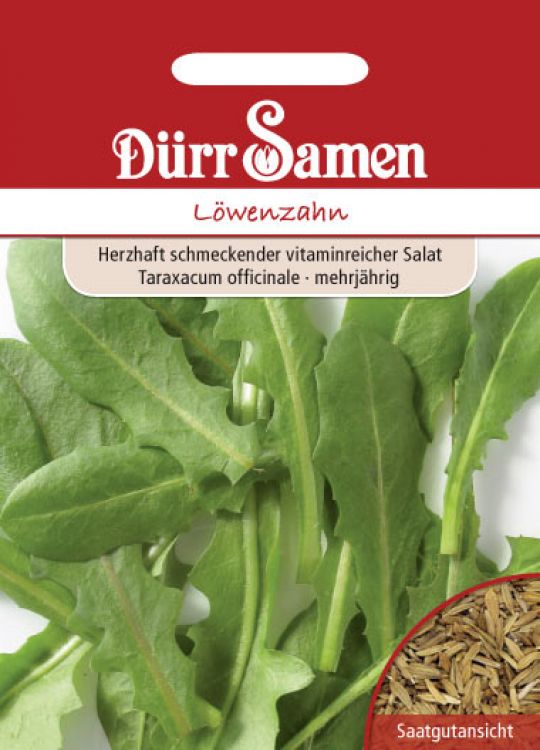 Löwenzahn - Taraxacum officinale
