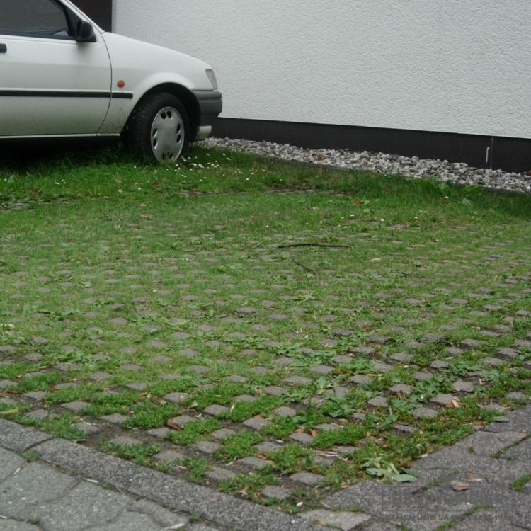 Parkplatzrasen Standard