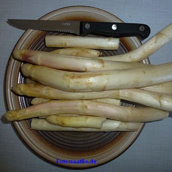 Spargel: Huchels Leistungsauslese